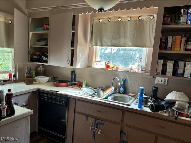 kitchen featuring black dishwasher and sink