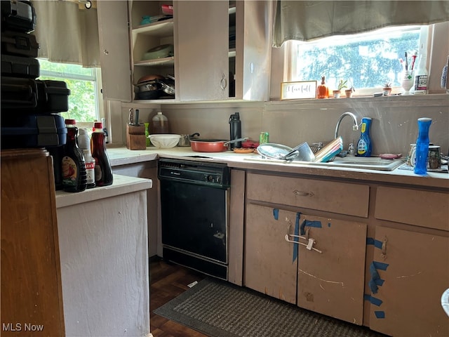 kitchen with black dishwasher and dark hardwood / wood-style flooring