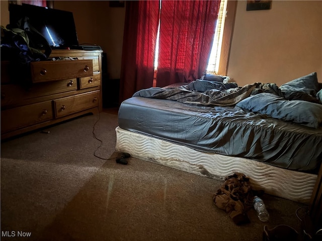 bedroom with carpet floors