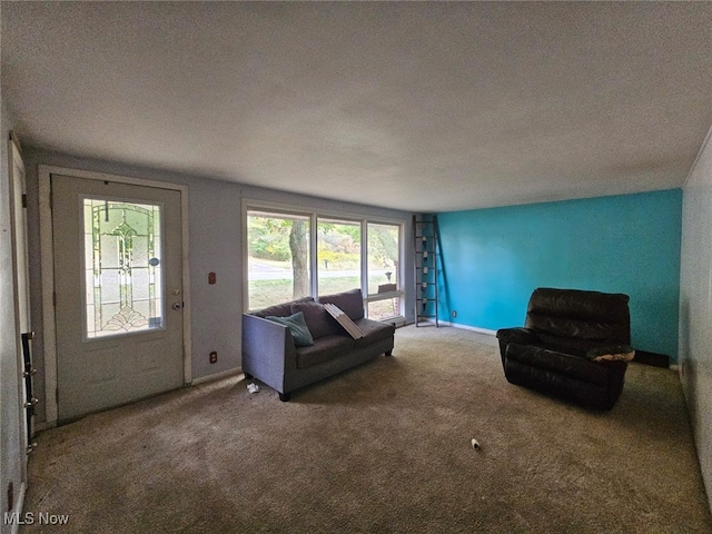 living room featuring a textured ceiling and carpet