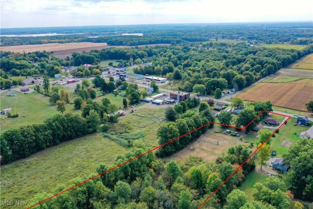 drone / aerial view featuring a rural view