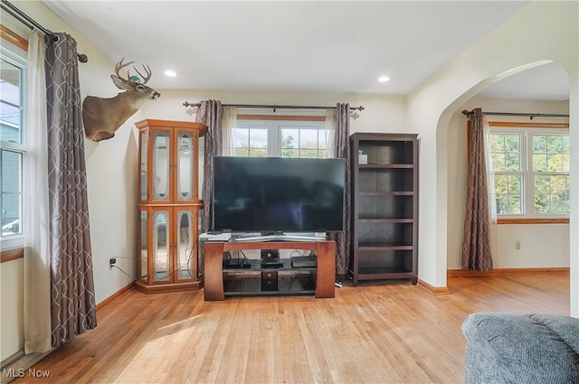 living room featuring light hardwood / wood-style floors