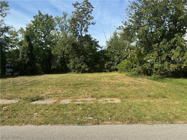 568 E 102nd St, Cleveland OH, 44108 land for sale