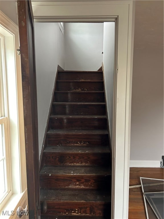 stairs with hardwood / wood-style floors