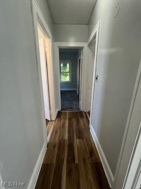 hall with dark hardwood / wood-style flooring