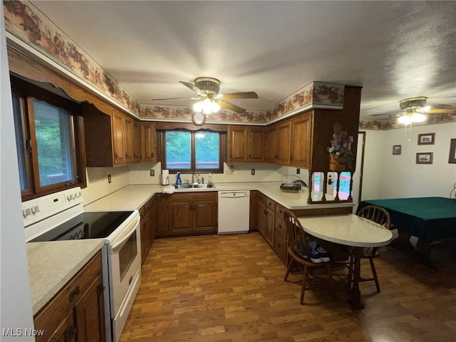 kitchen featuring white appliances, ceiling fan, dark wood-type flooring, and sink