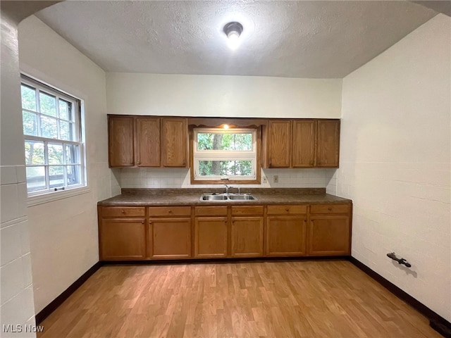 kitchen featuring sink, light hardwood / wood-style flooring, and tasteful backsplash