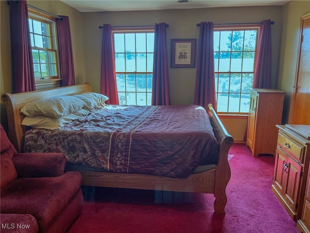 carpeted bedroom with multiple windows