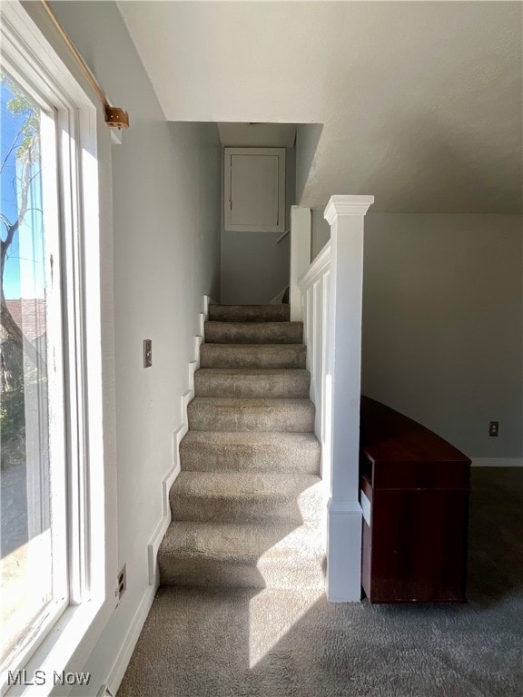 staircase featuring carpet flooring