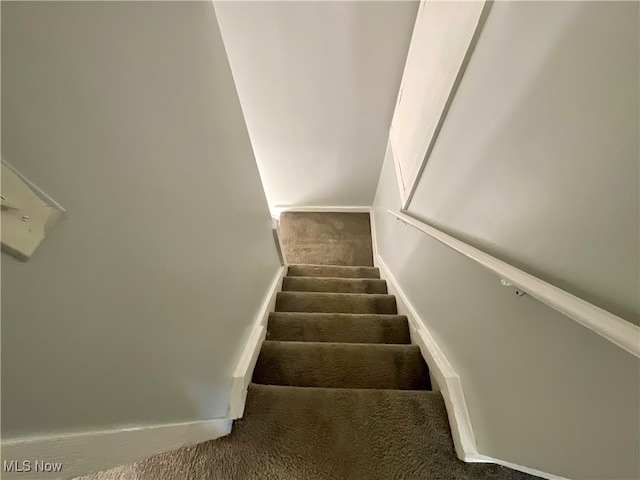 stairs with carpet flooring