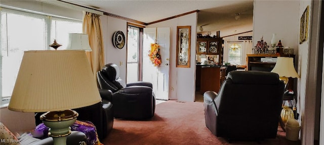 living room featuring ornamental molding, lofted ceiling, and carpet floors