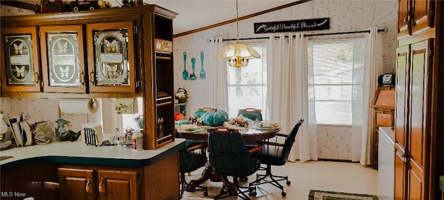 dining area featuring ornamental molding