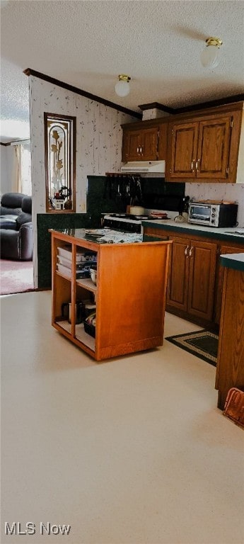 kitchen with a textured ceiling and crown molding