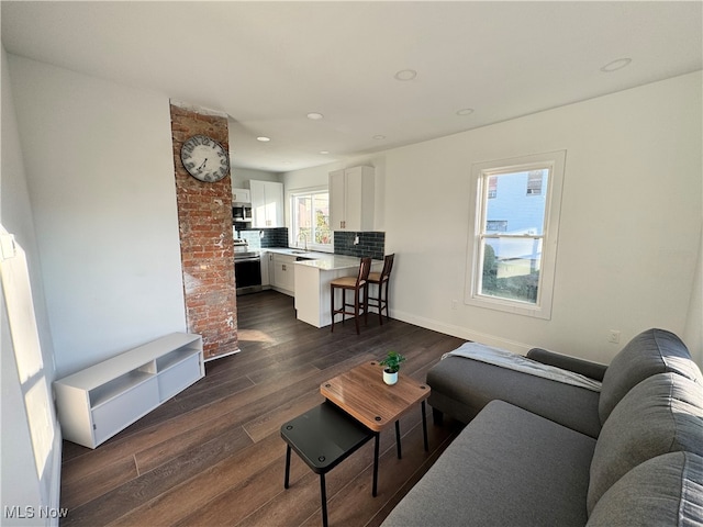 living room with sink and dark wood-type flooring