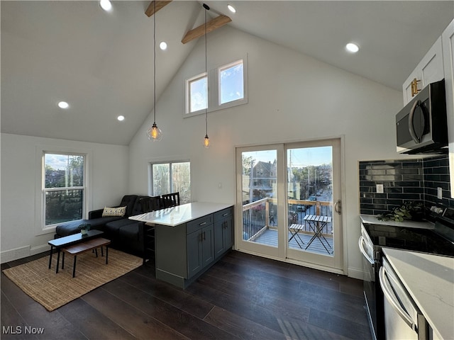 kitchen featuring appliances with stainless steel finishes, hanging light fixtures, dark hardwood / wood-style floors, and a healthy amount of sunlight