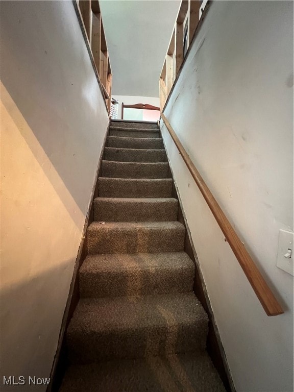 stairs featuring carpet