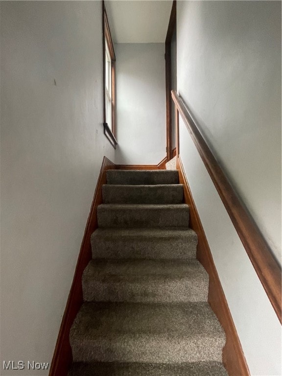 staircase with hardwood / wood-style floors