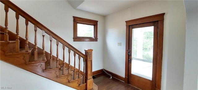 foyer entrance with dark hardwood / wood-style floors