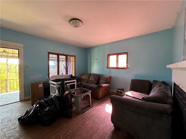 living room with hardwood / wood-style flooring