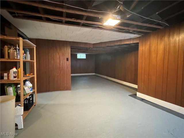 basement with wooden walls