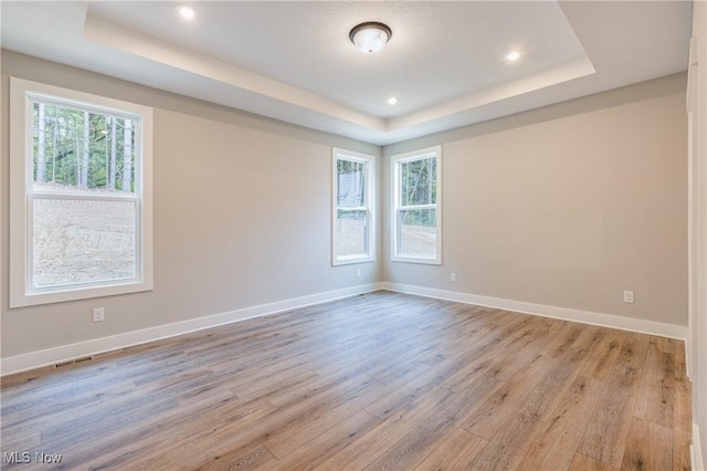 unfurnished room featuring plenty of natural light, a tray ceiling, and light hardwood / wood-style flooring