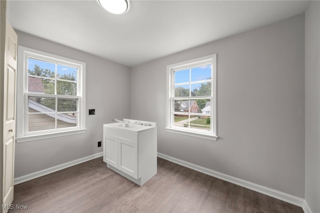 interior space featuring light hardwood / wood-style flooring and a wealth of natural light