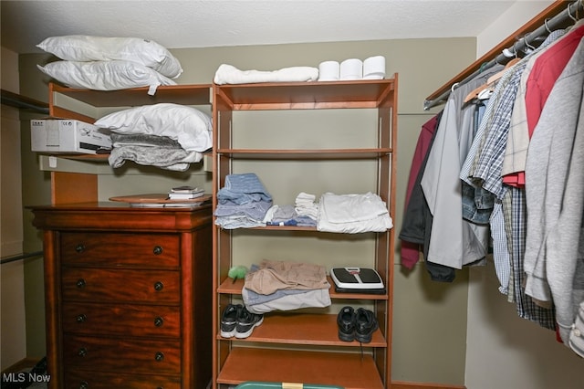 view of spacious closet