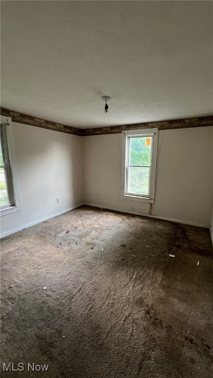 spare room featuring carpet flooring and a wealth of natural light