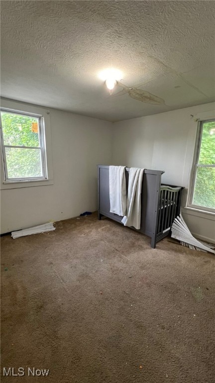 spare room featuring carpet floors and a textured ceiling