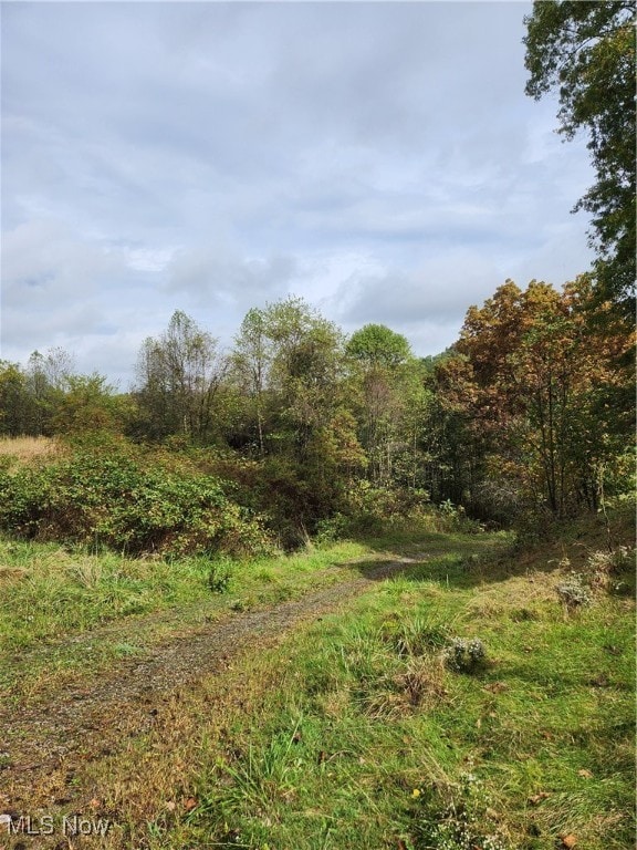 view of landscape