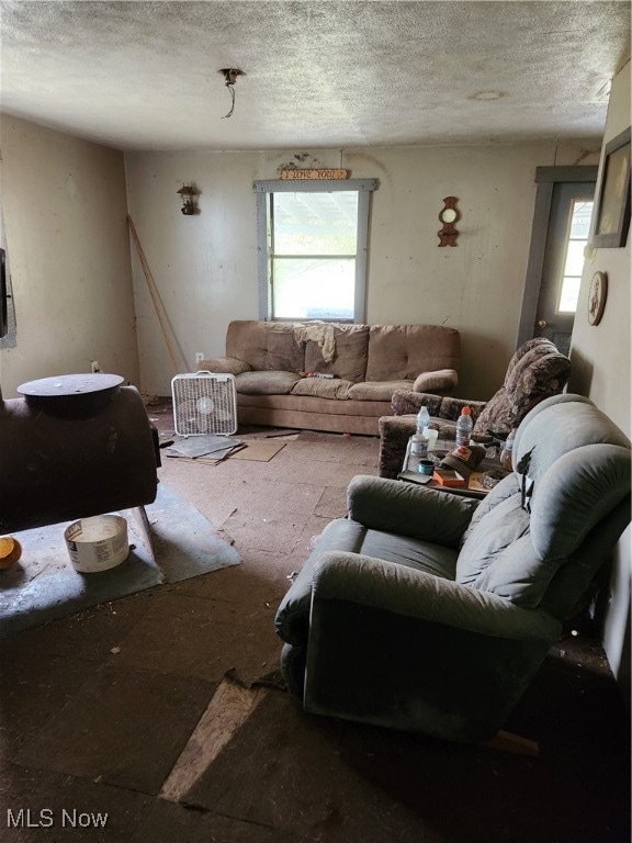 living room with a healthy amount of sunlight