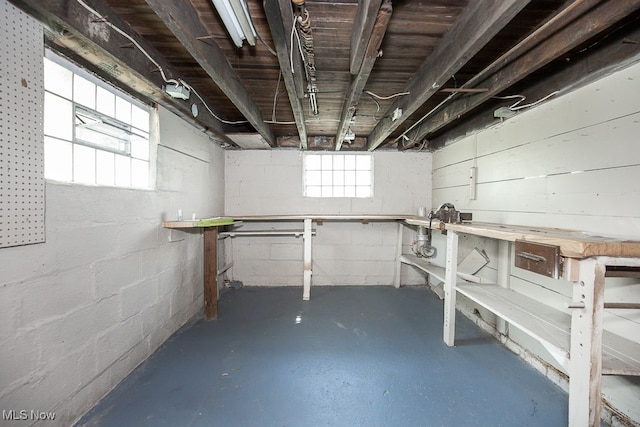 basement with plenty of natural light