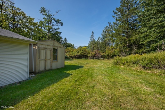 view of yard featuring a shed