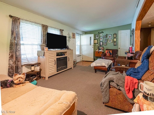 view of carpeted living room