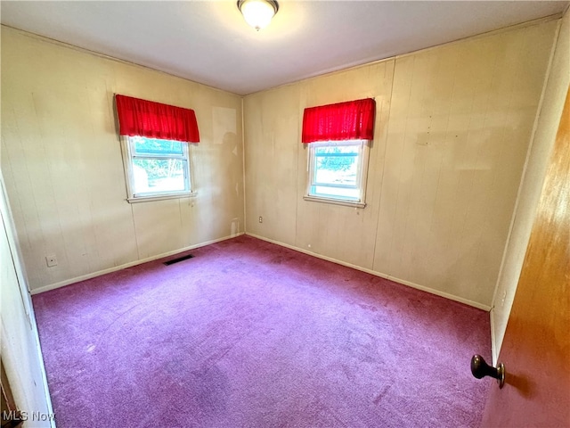 carpeted spare room featuring wooden walls and a healthy amount of sunlight