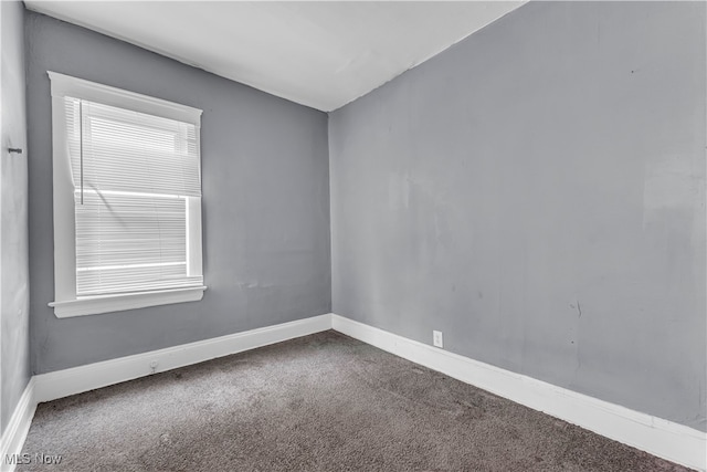 spare room with carpet floors