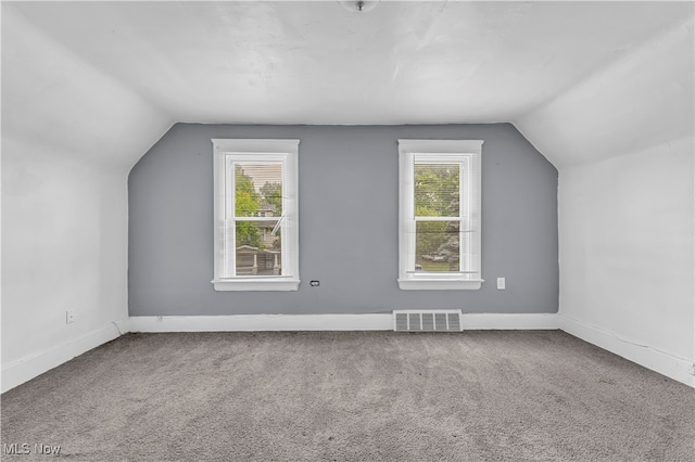 additional living space featuring carpet floors, a healthy amount of sunlight, and vaulted ceiling