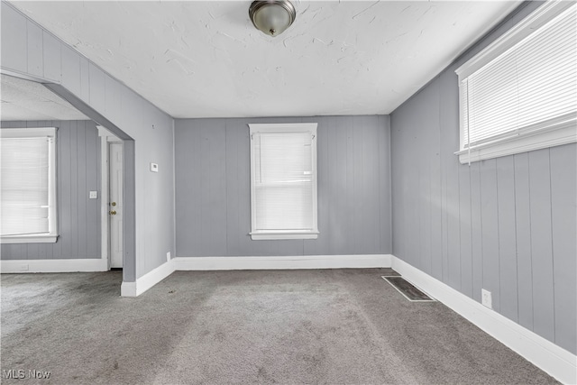 carpeted empty room with wooden walls and a healthy amount of sunlight