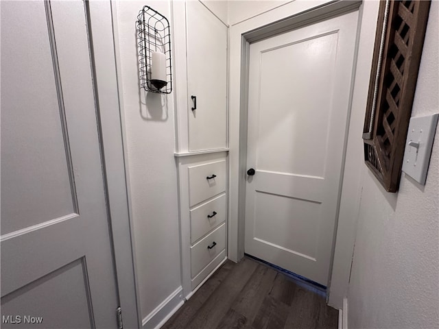 doorway with dark hardwood / wood-style floors