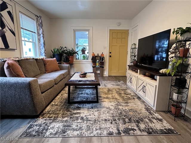 living room featuring hardwood / wood-style flooring