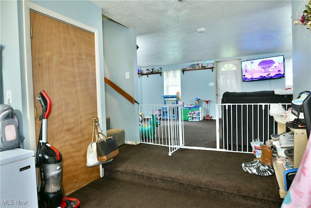 interior space featuring a textured ceiling and carpet flooring