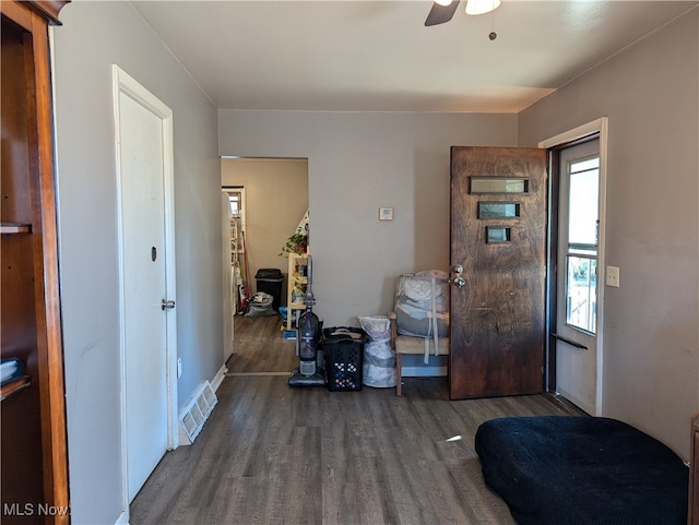 entryway featuring ceiling fan, dark hardwood / wood-style floors, and plenty of natural light