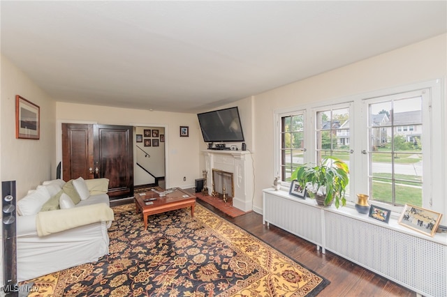 living room featuring a fireplace and dark wood-type flooring