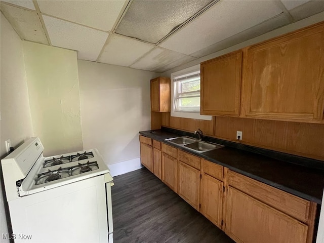 kitchen with a drop ceiling, dark hardwood / wood-style floors, white range with gas cooktop, and sink