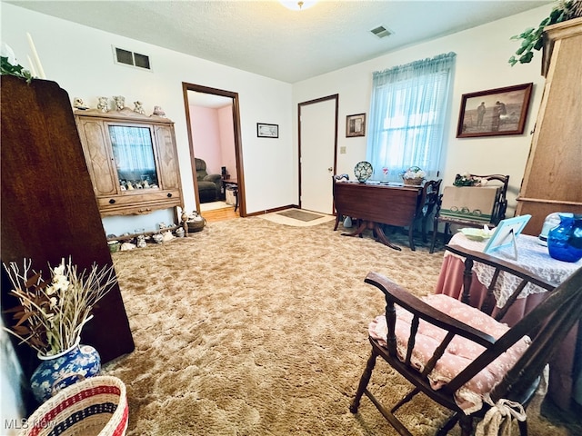 living area featuring a textured ceiling and carpet floors