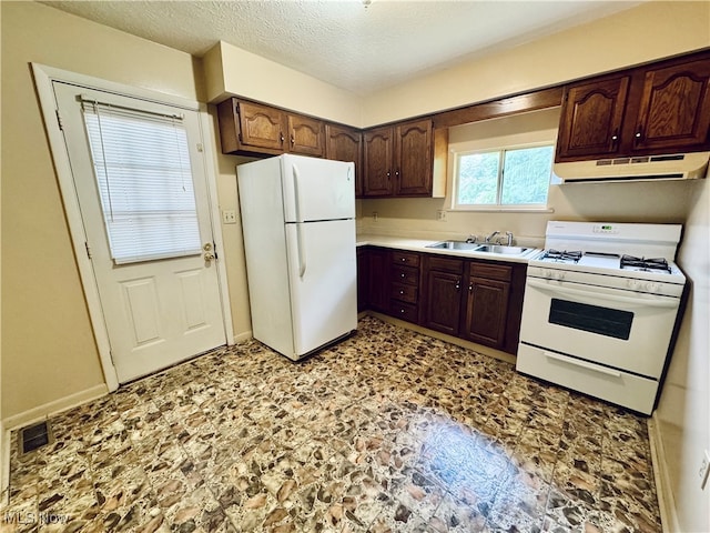 kitchen with sink, dark brown cabinets, white appliances, and exhaust hood