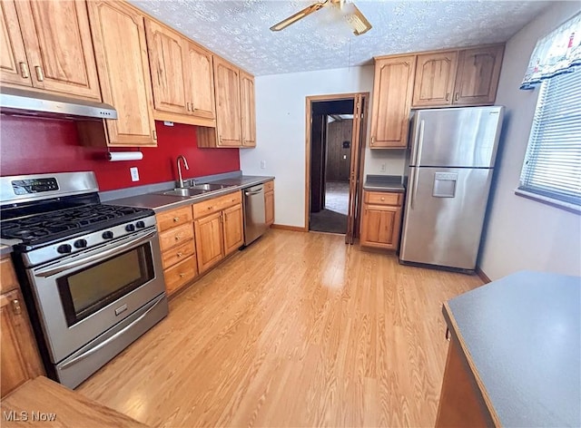 kitchen featuring a textured ceiling, stainless steel appliances, ceiling fan, sink, and light hardwood / wood-style floors