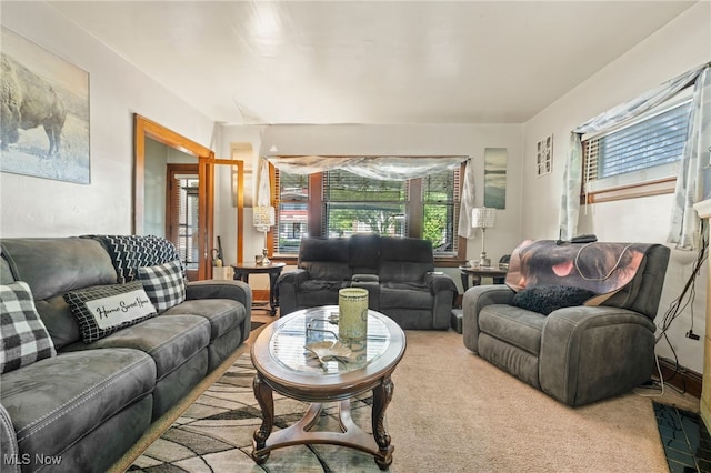 living room with carpet floors