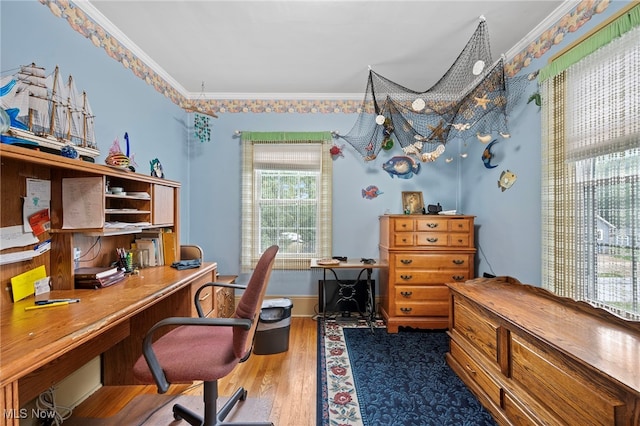 office area featuring crown molding and hardwood / wood-style flooring