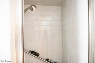 interior details featuring tiled shower